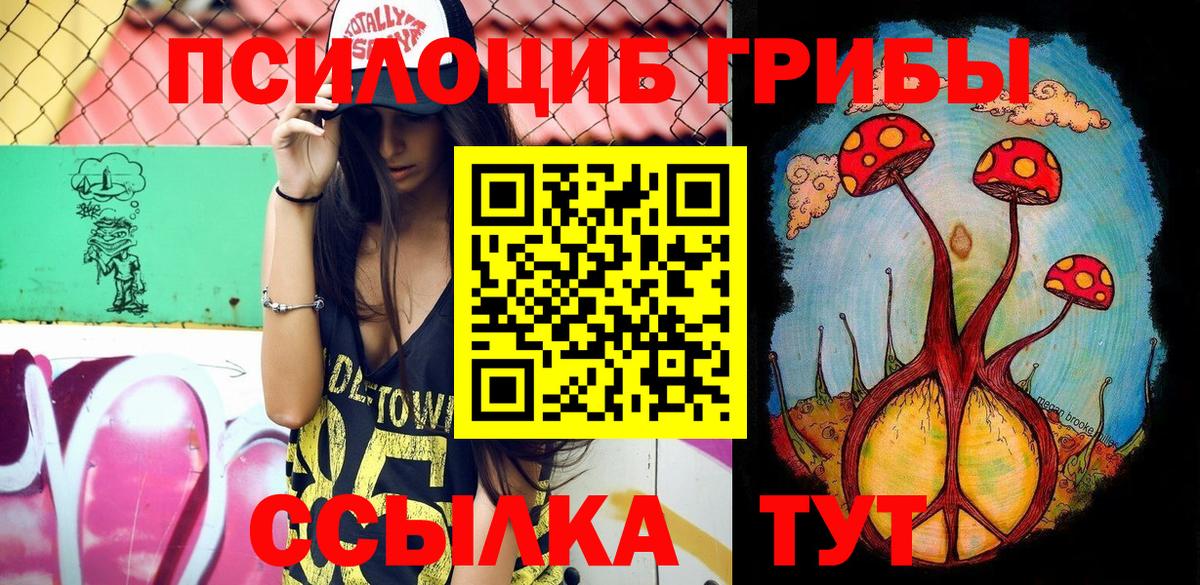купить наркотик  Псилоцибиновые грибы мицелий  Вход с VPN  Кимры  Псилоцибиновые грибы ЛСД 
