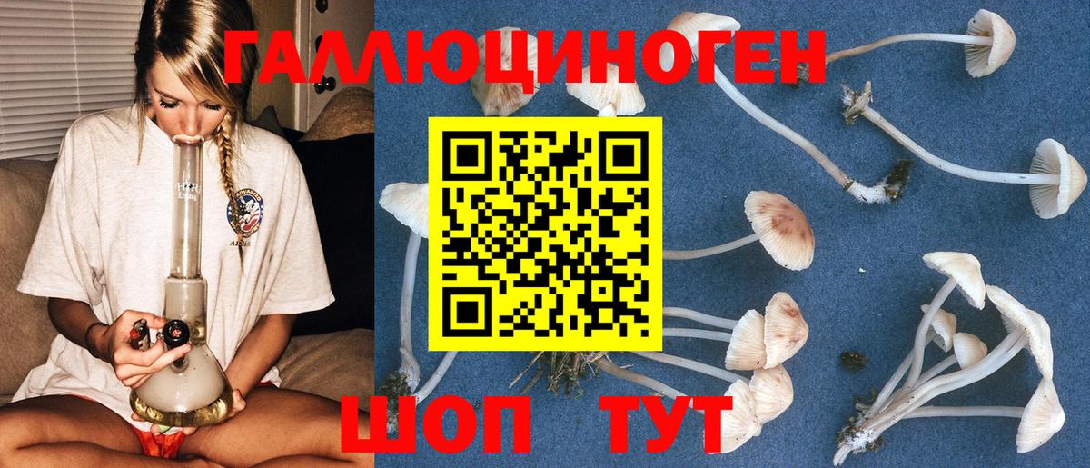 Псилоцибиновые грибы ЛСД Кимры